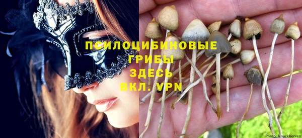 мяу мяу мука Нефтегорск