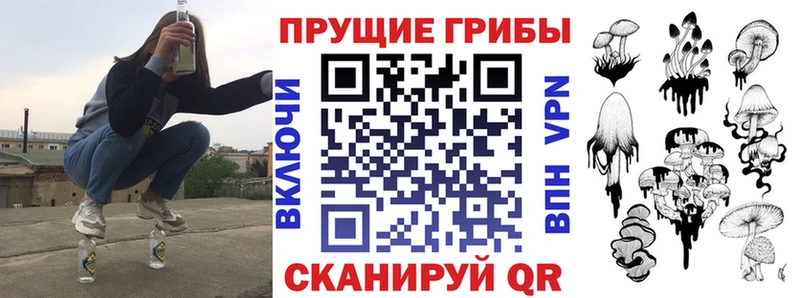Псилоцибиновые грибы Psilocybine cubensis  Омск 